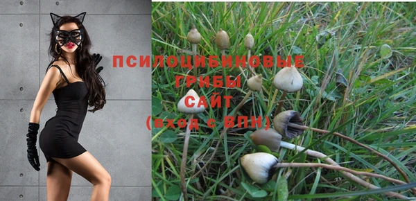 экстази Нягань