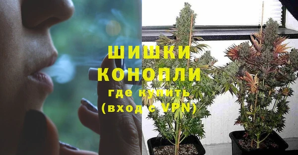 мяу мяу мука Осташков