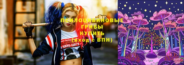 крисы Козловка