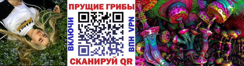 где купить   mega зеркало  Галлюциногенные грибы мицелий  Балахна 